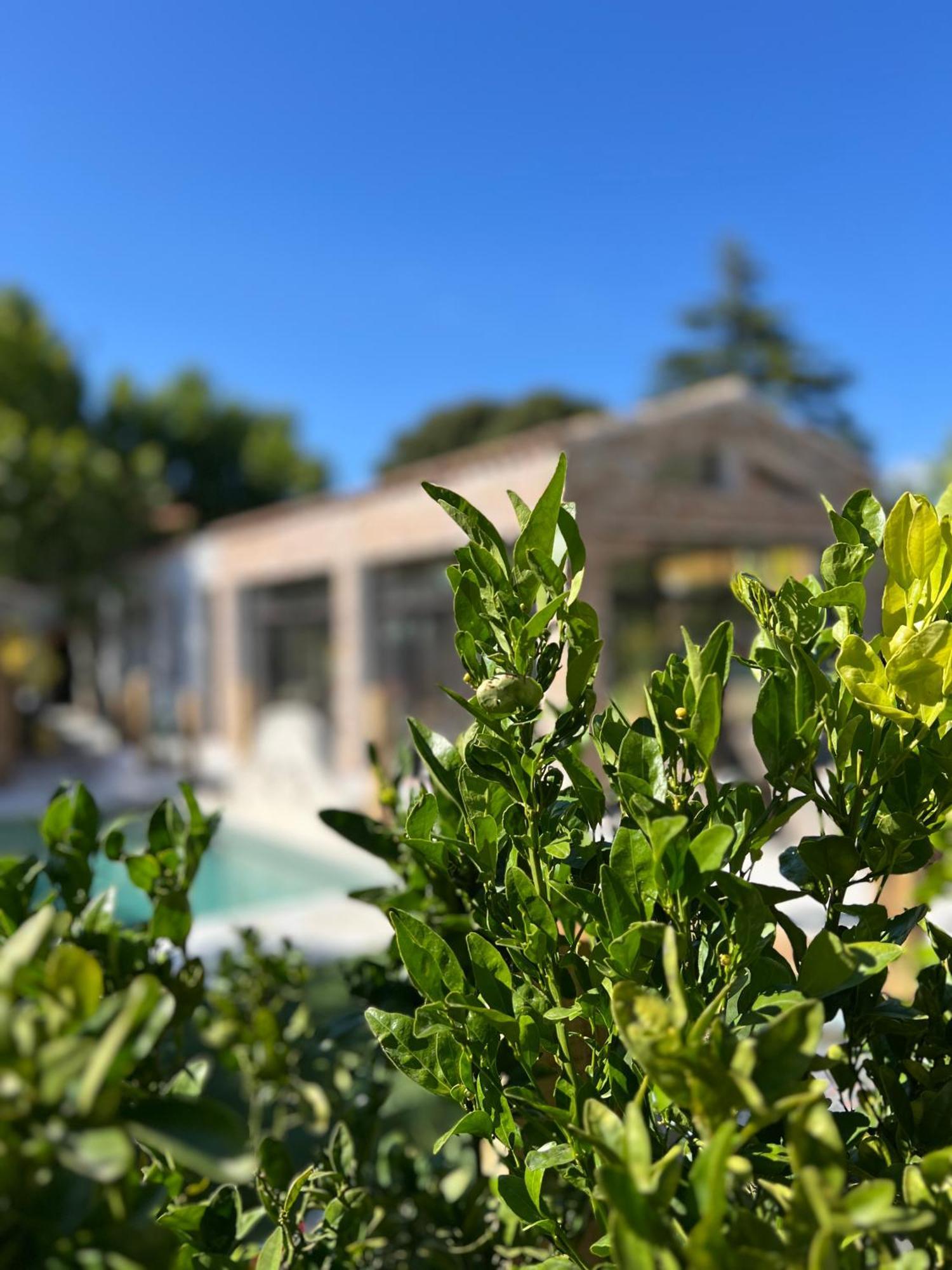 L'Intemporel Saint-Cyr-sur-Mer Bagian luar foto